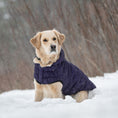 Load image into Gallery viewer, Cloud Parka