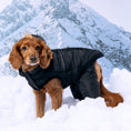 Load image into Gallery viewer, Odysey Snowsuit - Southlake Paws