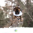 Load image into Gallery viewer, Diamond Puffer - Southlake Paws