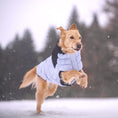 Load image into Gallery viewer, Diamond Puffer - Southlake Paws