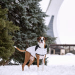 Diamond Puffer GF Pet.us