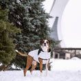 Load image into Gallery viewer, Diamond Puffer - Southlake Paws