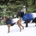 Load image into Gallery viewer, Good Vibes Hoodie - Southlake Paws