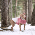 Load image into Gallery viewer, Good Vibes Hoodie - Southlake Paws