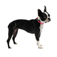 Load image into Gallery viewer, Reflective Collar - Neon Pink