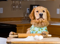 Load image into Gallery viewer, Macarons Organic Dog Treats