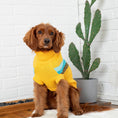 Load image into Gallery viewer, Alpine Sweater - Yellow