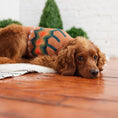 Load image into Gallery viewer, Heritage Sweater - Hazel