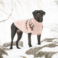 Load image into Gallery viewer, Heritage Sweater - Pink