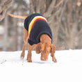 Load image into Gallery viewer, Retro Sweater - Navy