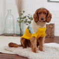 Load image into Gallery viewer, Fireside Sweater - Yellow