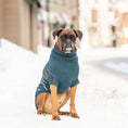 Load image into Gallery viewer, Arctic Sweater - Teal