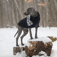 Load image into Gallery viewer, Fuzzy Sweater