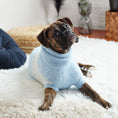 Load image into Gallery viewer, Fuzzy Sweater