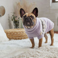 Load image into Gallery viewer, Fuzzy Sweater