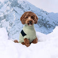 Load image into Gallery viewer, Catalyst Sweater - Southlake Paws