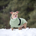 Load image into Gallery viewer, Catalyst Sweater - Southlake Paws