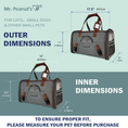 Load image into Gallery viewer, Mr. Peanut's Gold Series Standard Size Airline Compliant Pet Carrier - Southlake Paws
