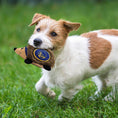 Load image into Gallery viewer, Golden State Warriors Plush Hedgehog Toy
