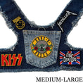 Load image into Gallery viewer, Guns N' Roses Harness