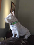 Load image into Gallery viewer, Up Country Garden Rabbit Cast Brass Dog Collar