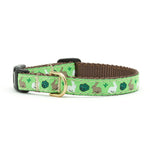 Garden Rabbit Small Breed Dog Collar