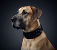 Load image into Gallery viewer, Black ''Crown'' soft leather dog collar