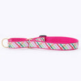 Load image into Gallery viewer, Up Country Gingham All the Way Cast Brass Martingale Collar