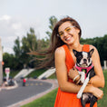 Load image into Gallery viewer, EcoBark Step In Dog Harness - XXXS to Small Breeds- Reflective Soft Mesh Harness for Teacup, Small Dogs and Puppies / Bubblegum Pink