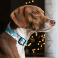 Load image into Gallery viewer, Up Country Gnomes Printed Cast Brass Dog Collar