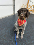 Load image into Gallery viewer, Gold Foil Hearts Valentines Day Bandana