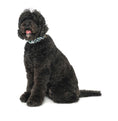 Load image into Gallery viewer, Up Country Gordon Plaid Extra Wide 1.5" Cast Brass Dog Collar