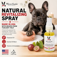 Load image into Gallery viewer, Grapeseed Oil Paw and Nose Revitalizer by Southlake Paws, featuring a spray bottle with a dog and grapes in the background.