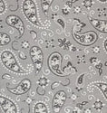 Load image into Gallery viewer, Gray Paisley ***NEW FOR FALL