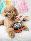 Load image into Gallery viewer, Ainsley Dog Collar