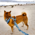 Load image into Gallery viewer, Great Wave Collar - Southlake Paws