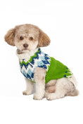 Load image into Gallery viewer, Spring Ski Bum Dog Sweater