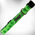 Load image into Gallery viewer, Polka Dot Dog Collars, Leads, and Bows - Monotone - 6 Styles