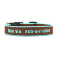Load image into Gallery viewer, Color Market Dog Collar - Small Breed