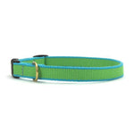 Color Market Dog Collar - Small Breed