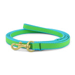 Color Market Small Breed Dog Lead