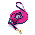 Color Market Training Lead