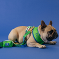 Load image into Gallery viewer, Frenchie Duo Reversible Harness - Green Marble