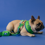 Frenchie Duo Reversible Harness - Green Marble