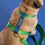 Frenchie Strap Harness - Green Marble