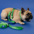 Load image into Gallery viewer, Frenchie Strap Harness - Green Marble
