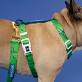 Load image into Gallery viewer, Frenchie Strap Harness - Green Marble