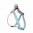 Load image into Gallery viewer, Color Market Dog Harness