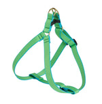 Color Market Dog Harness