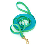 Color Market Training Lead